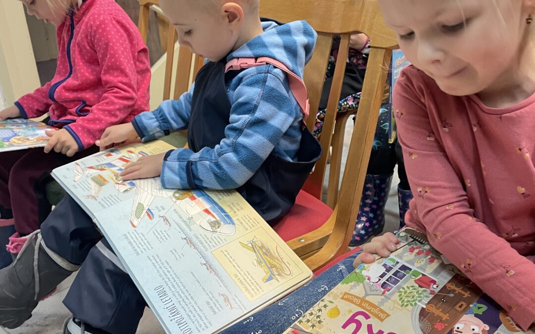 Medvídci v knihovně 🐻