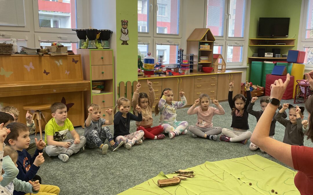 Medvídci a ekoprogram les 🐻🌲