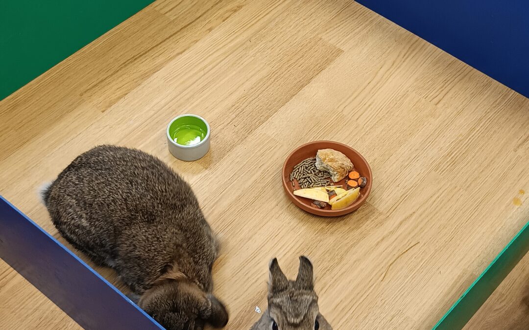 Medvídci- ekoprogram „Farma“🐻🐇