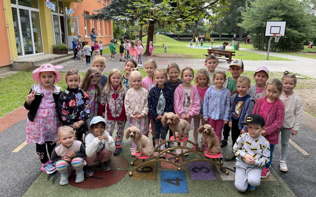 Pudlíci a hadi – méďové 🐻