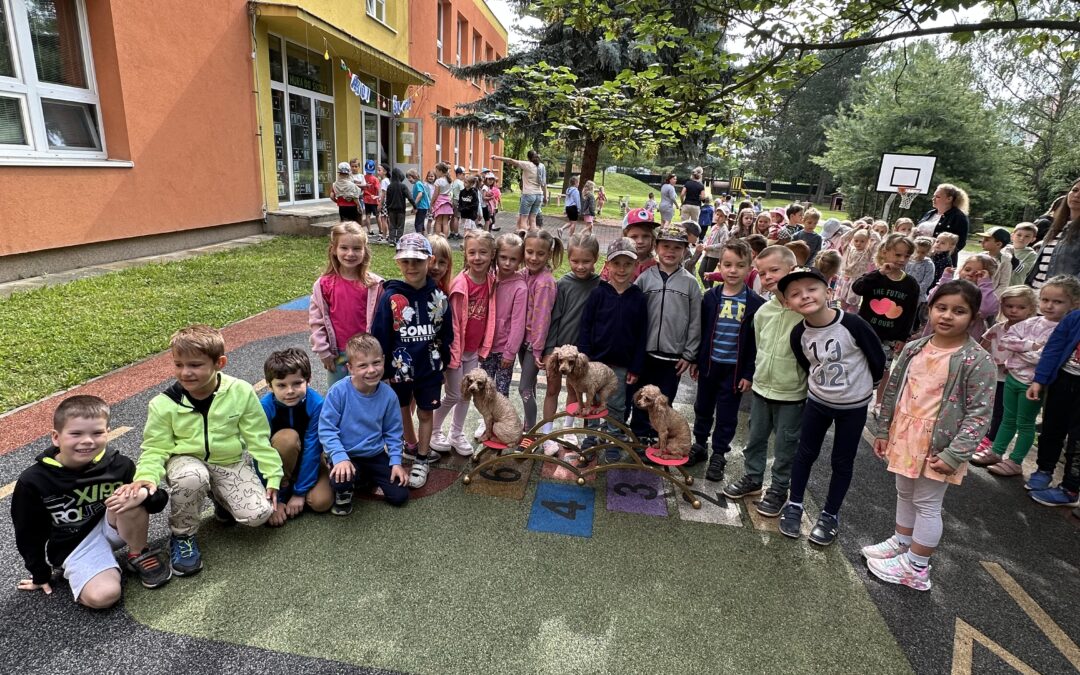 Koťátka – pudlíci a hadi🐶🐍
