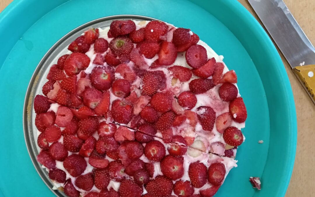 Koťátka oslavují stužkování🥳🍰