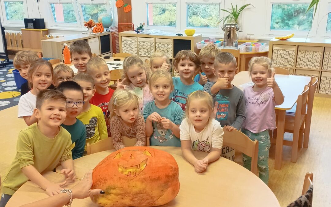 Koťátka 🎃👻
