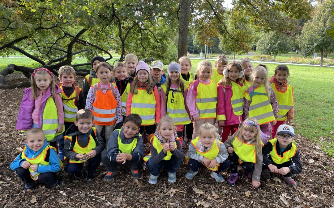 Medvídci na procházce v parku 🍂🐻