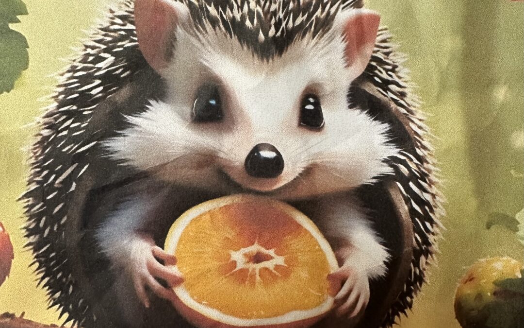 Koťátka – ekoprogram ,,Ježek,,🦔