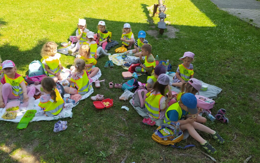 PIKNIK – BERUŠKY – MINI VÝLET DO DDM