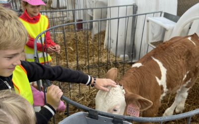 Medvídci na výletě 🐻🐄🐏🐐🐎