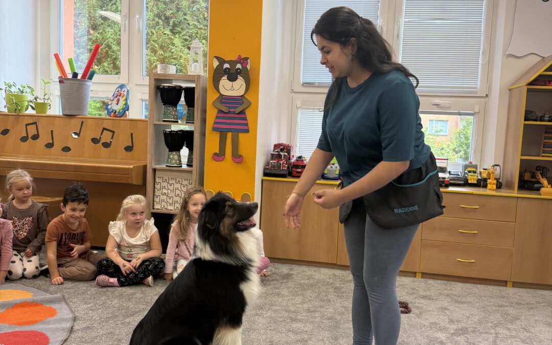 Koťátka – canisterapie🐶🙂