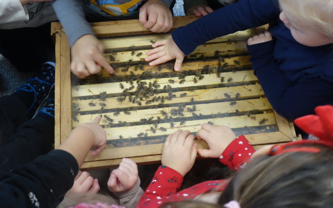 Myšky a včelí tajemství