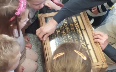 BERUŠKY – „NÁVŠTĚVA VČELAŘE“