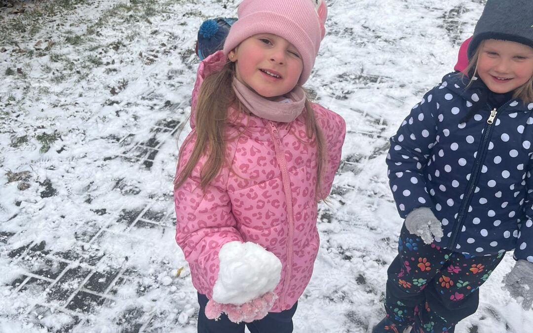 Méďové a první sníh