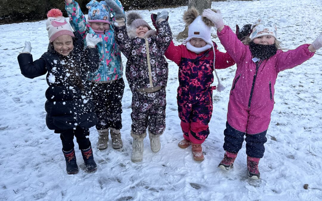 Koťátka a sněhová nadílka ❄️⛄️